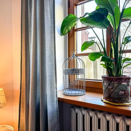 Luxury Decor & Amazing Island Views, Center! 5mins Rynek * Wrocław